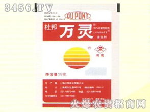鄭州市邙山區農業綜合服務公司誠邀新疆區域代理商